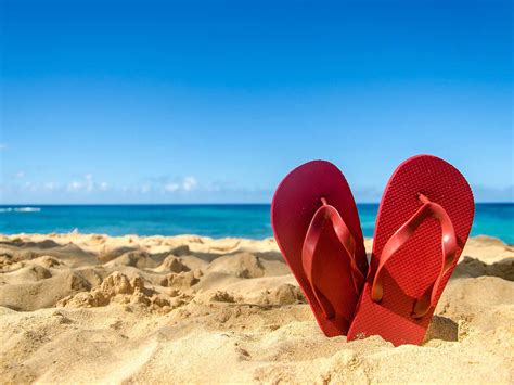  The Sandals of Happiness! Một Câu Chuyện về Niềm Vui Qua Những Chiếc Đôi Dép