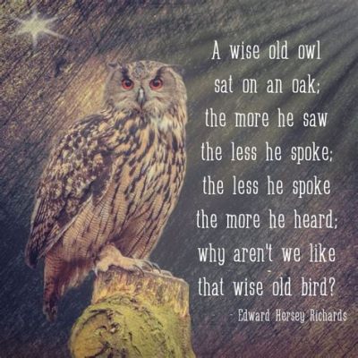  The Owl Who Saw Everything - A Story About Wisdom, Envy, and Unexpected Truths!